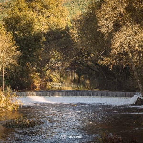 Serenidade Fluvial